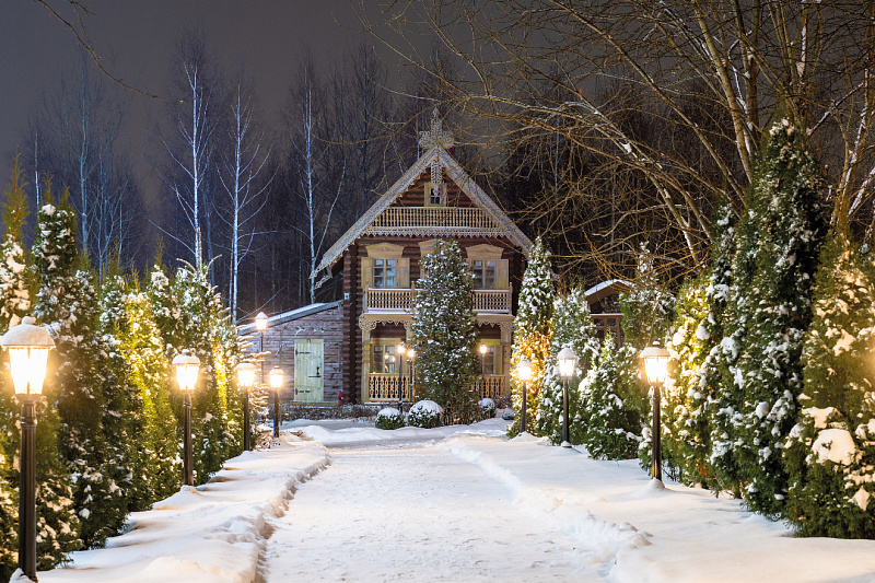 Деревня русского зодчества изображение номер 50